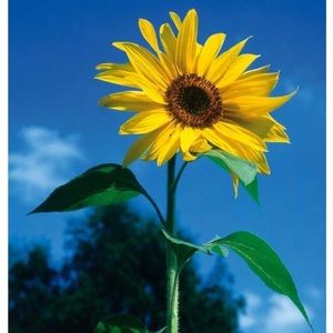 Meet your Posher, Janelle